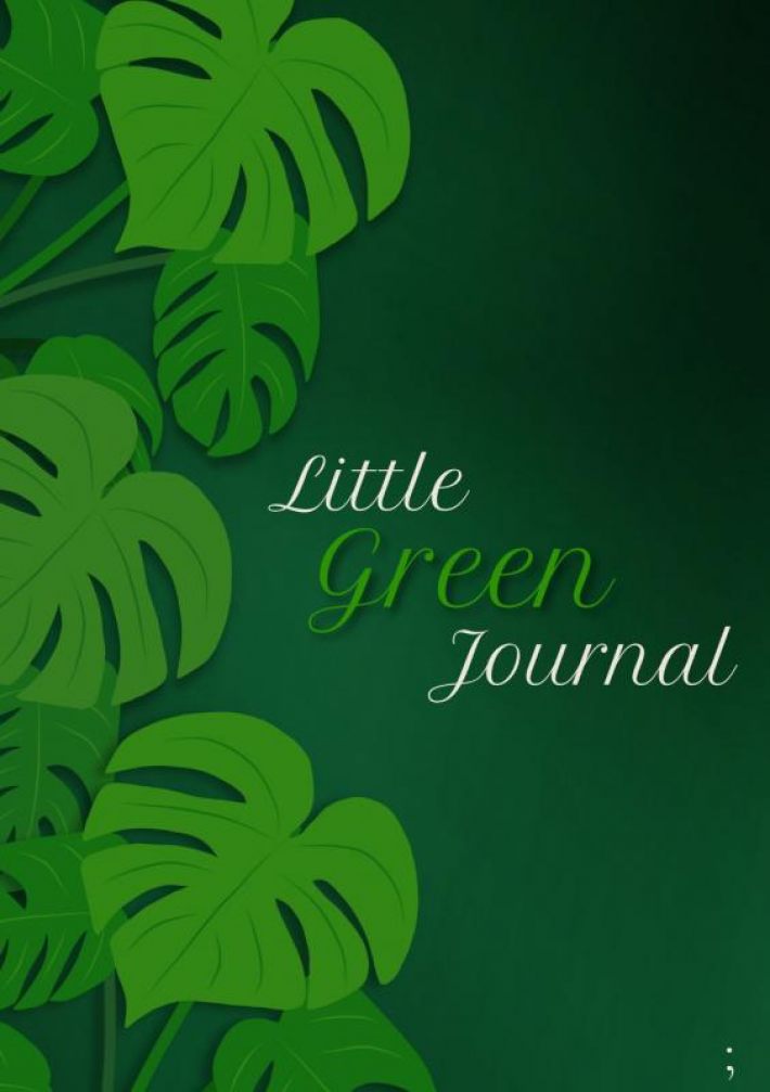 Little Green Journal - XL