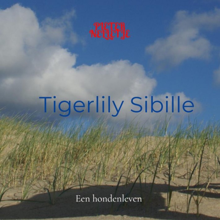 Tigerlily Sibille