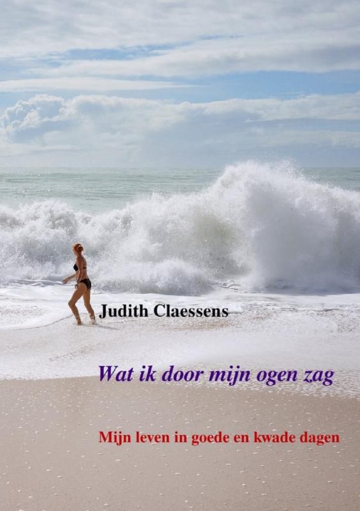 Wat ik door mijn ogen zag