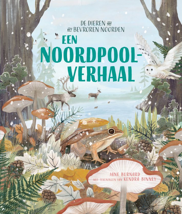 Een Noordpoolverhaal