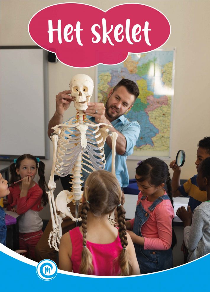 Het skelet