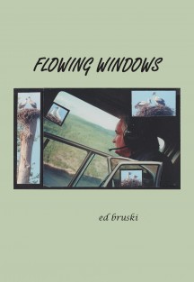 flowing windows