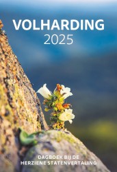 Volharding
