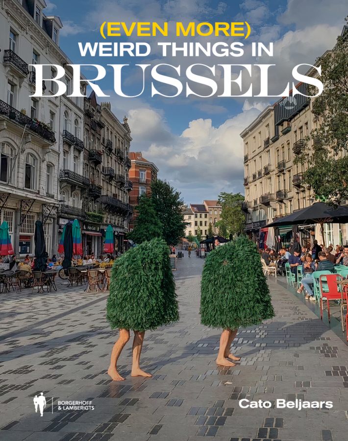 (Even more) Weird things in Brussels