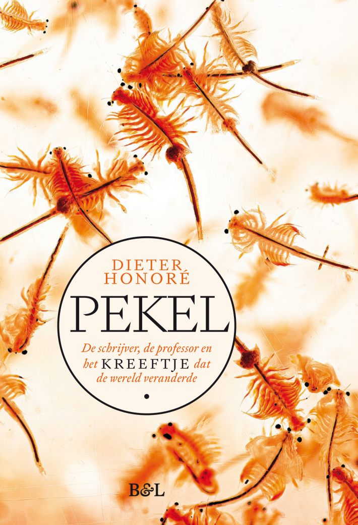 Pekel • Pekel