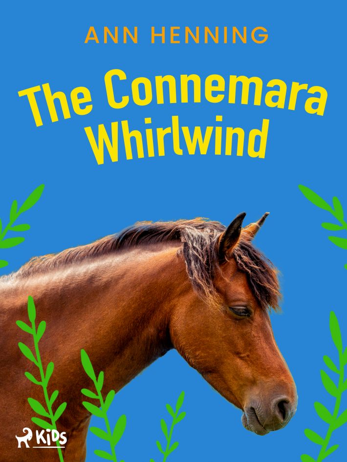 The Connemara Whirlwind : Connemara Trilogy