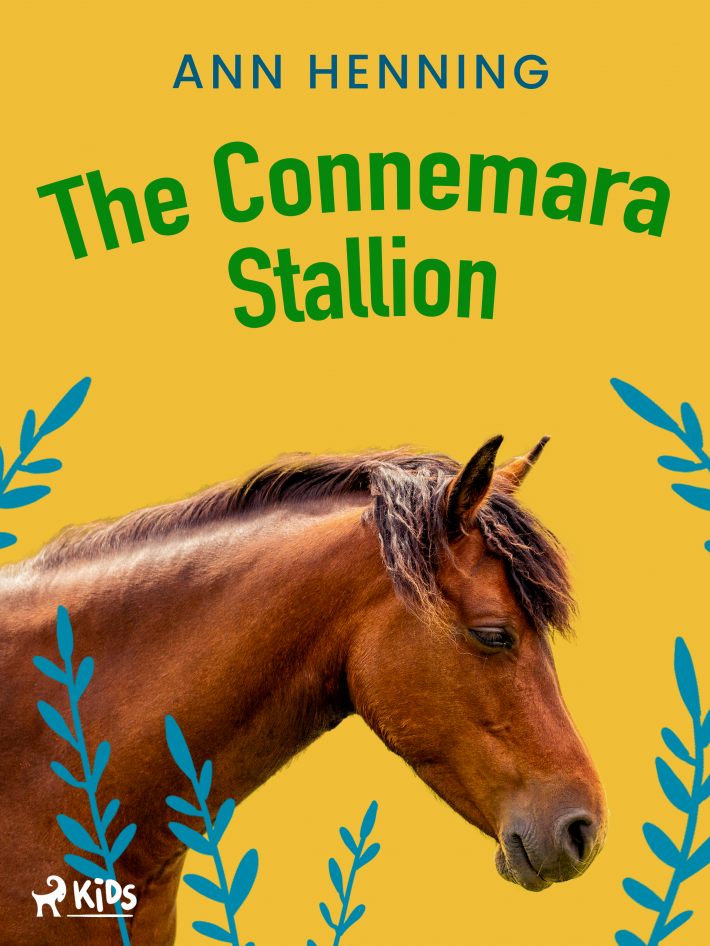The Connemara Stallion : Connemara Trilogy
