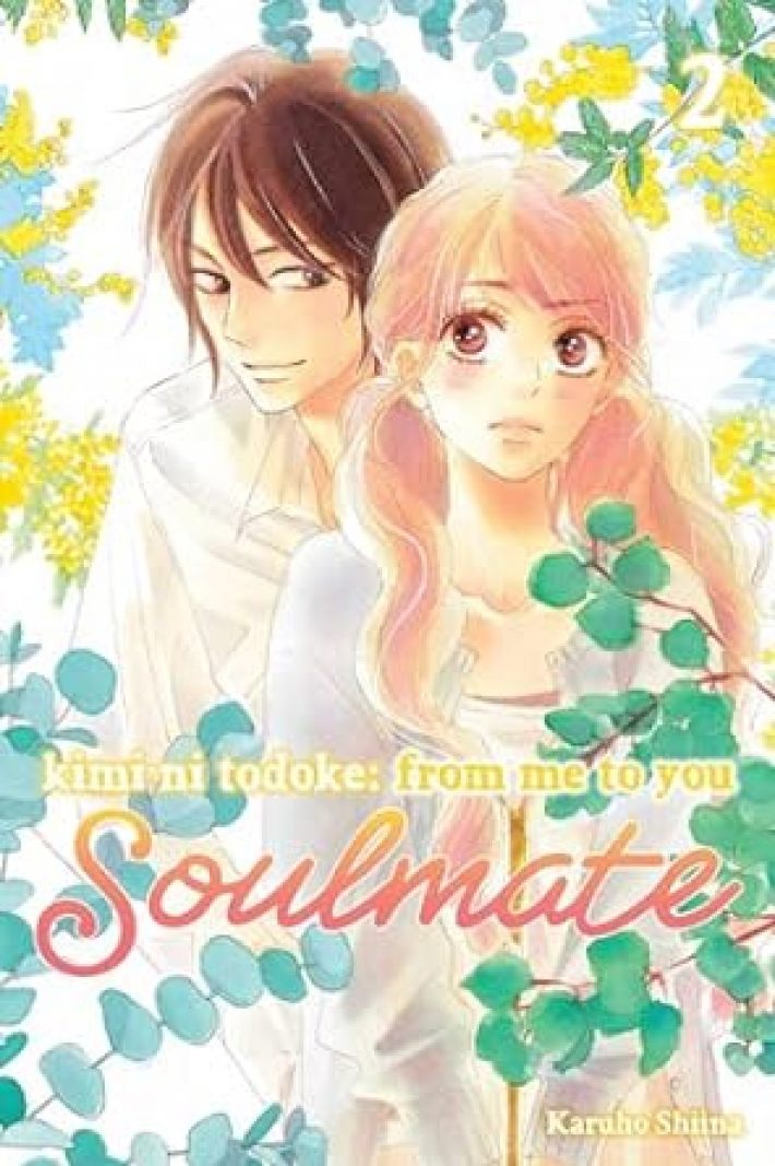 Kimi ni Todoke: From Me to You: Soulmate, Vol. 2