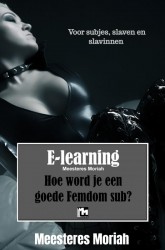 Hoe word je een goede Femdomsub?