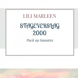 STAGEVERSLAG 2000