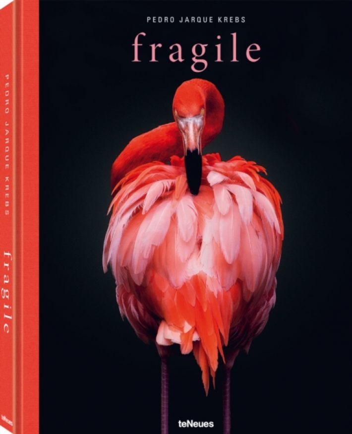 Fragile