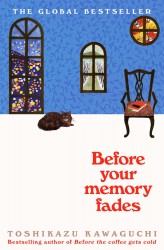 Before Your Memory Fades • Before Your Memory Fades