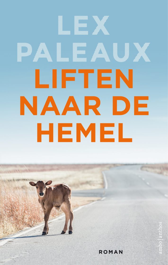 Liften naar de hemel • Liften naar de hemel