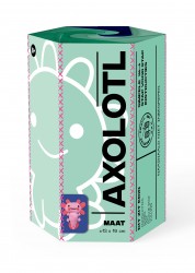 Creative Craft Set - Axolotl