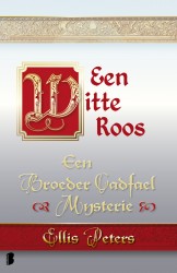 Een witte roos