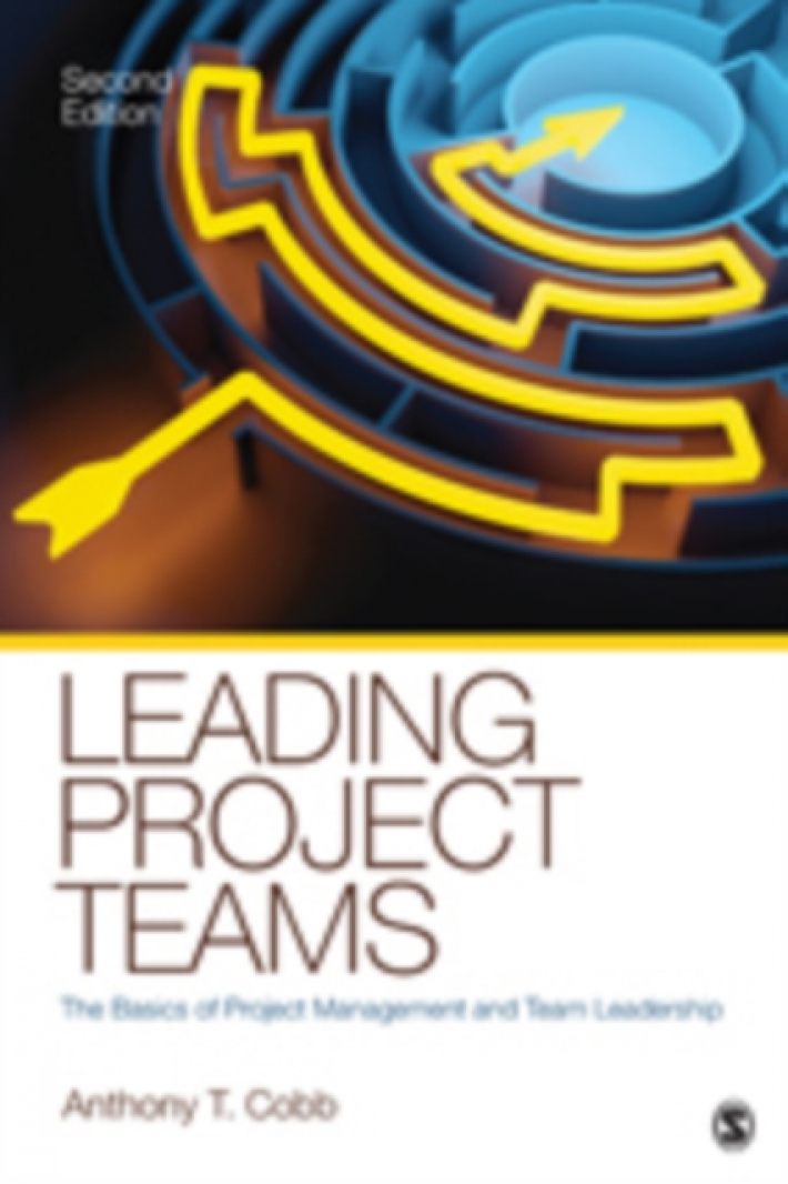 Leading Project Teams