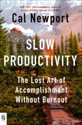 Slow Productivity