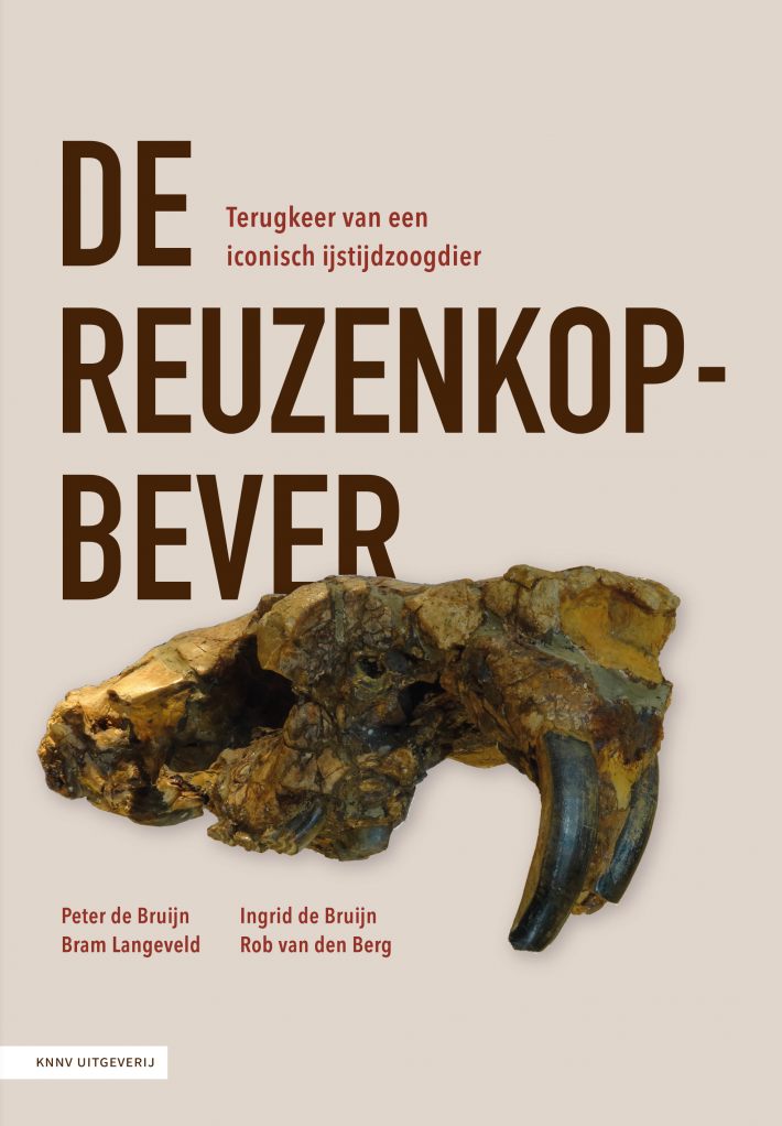 De reuzenkopbever