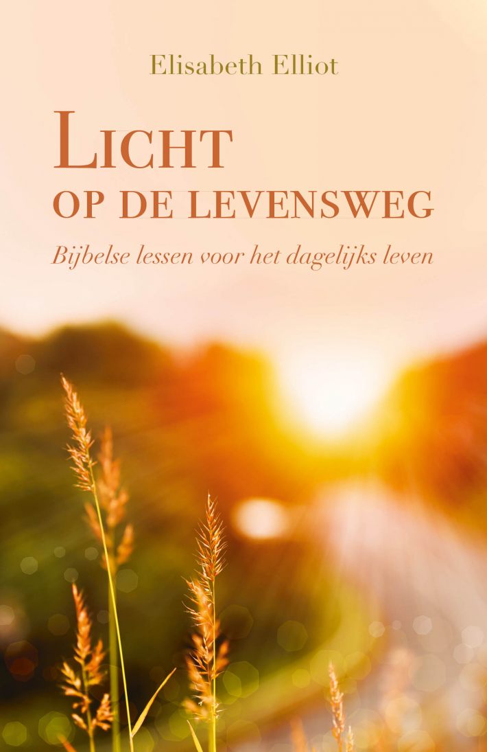 Licht op de levensweg