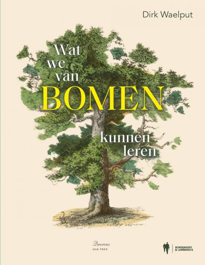 Wat we van bomen kunnen leren