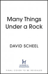 Many Things Under a Rock