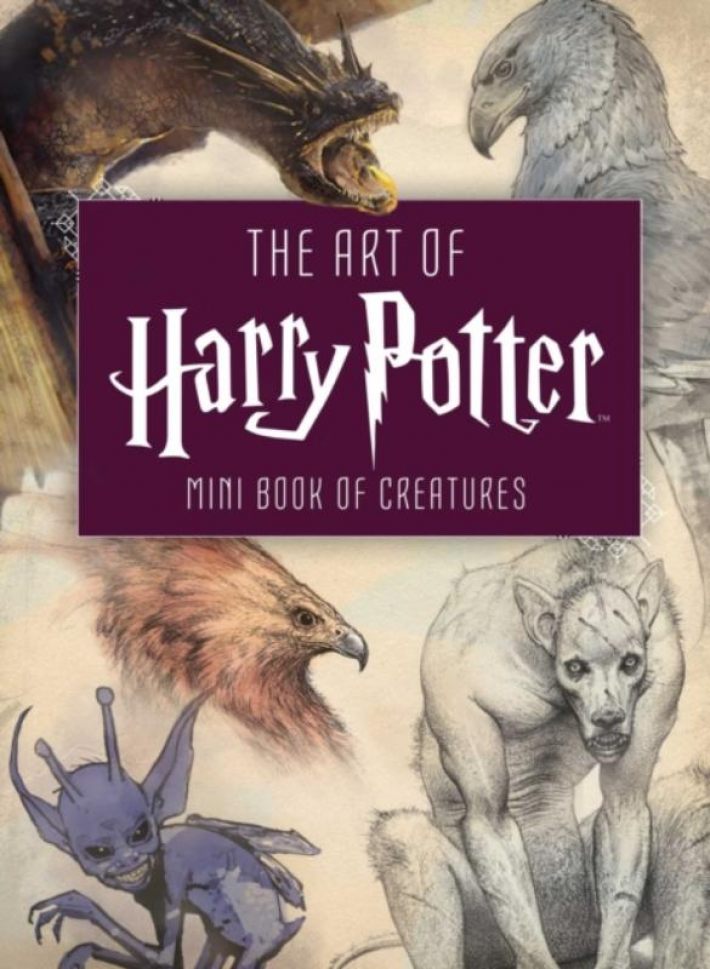 The Art of Harry Potter