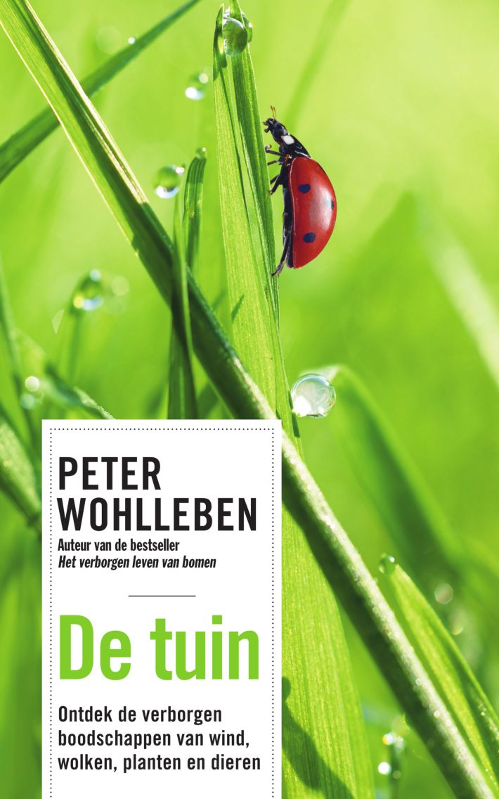 De tuin