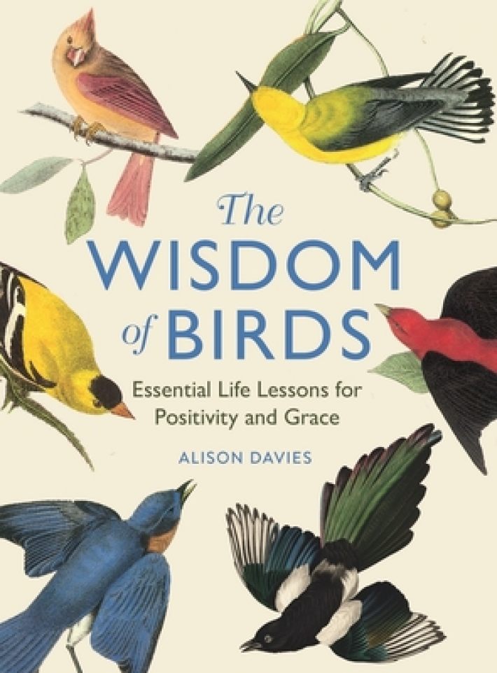 The Wisdom of Birds