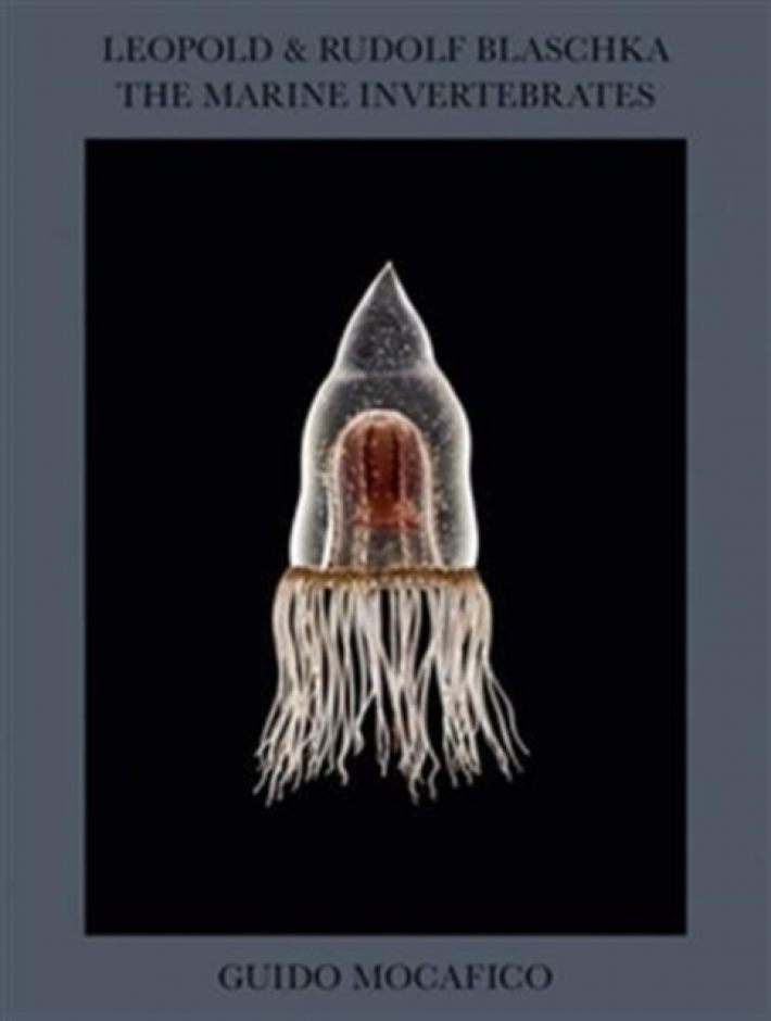 Guido Mocafico: Leopold & Rudolf Blaschka. The Marine Invertebrates