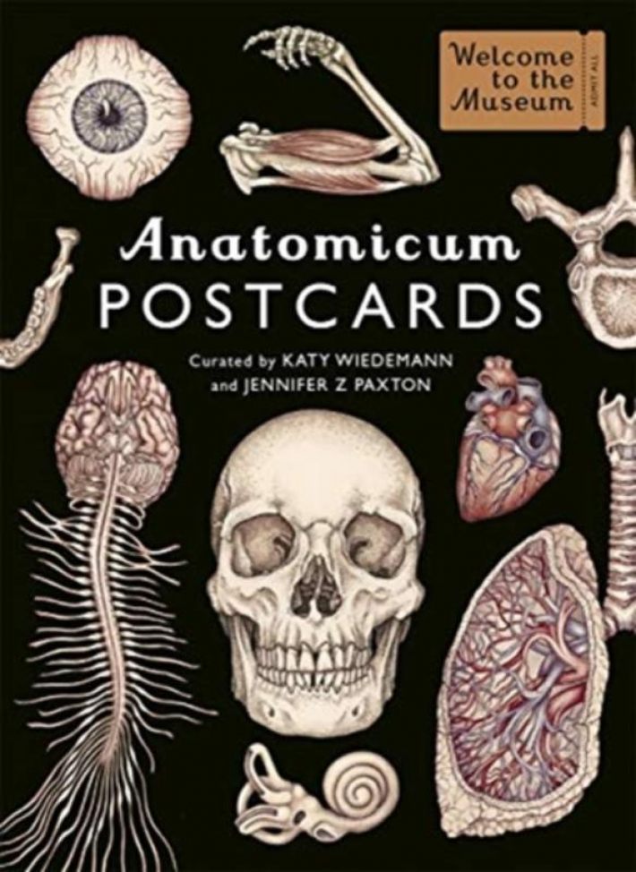 Anatomicum Postcard Box