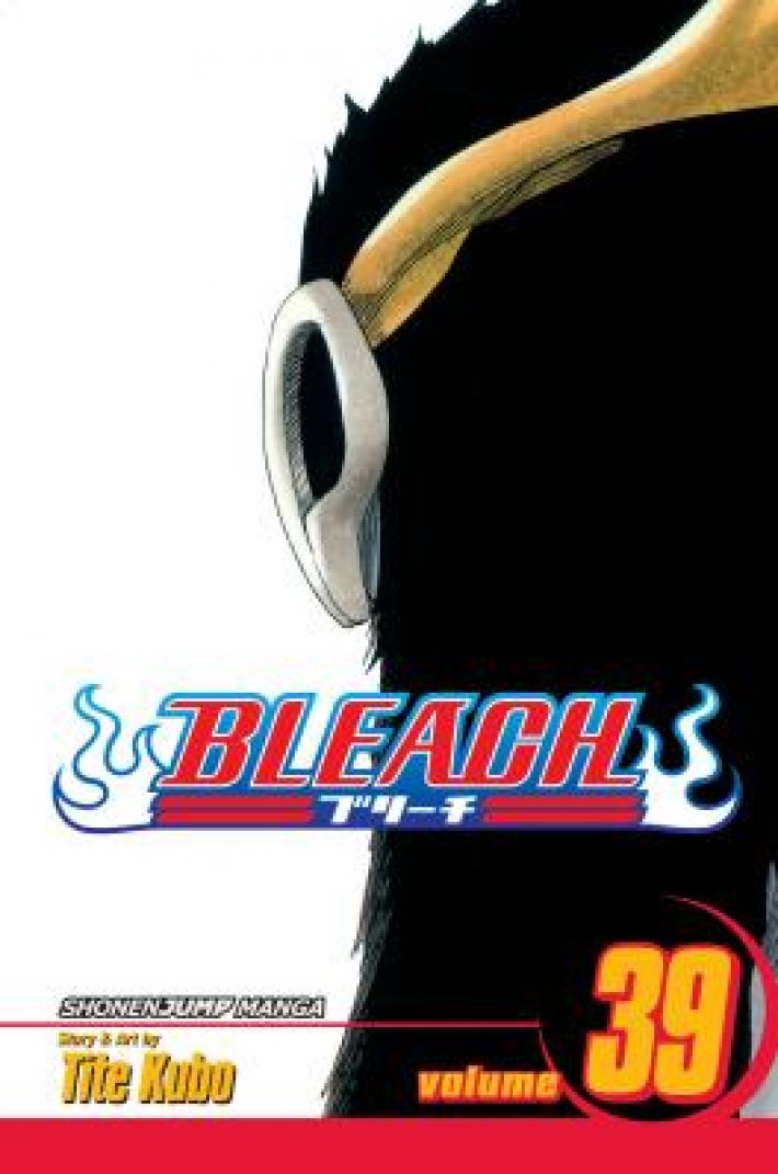 Bleach, Vol. 39