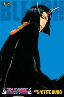 Bleach (3-in-1 Edition), Vol. 13