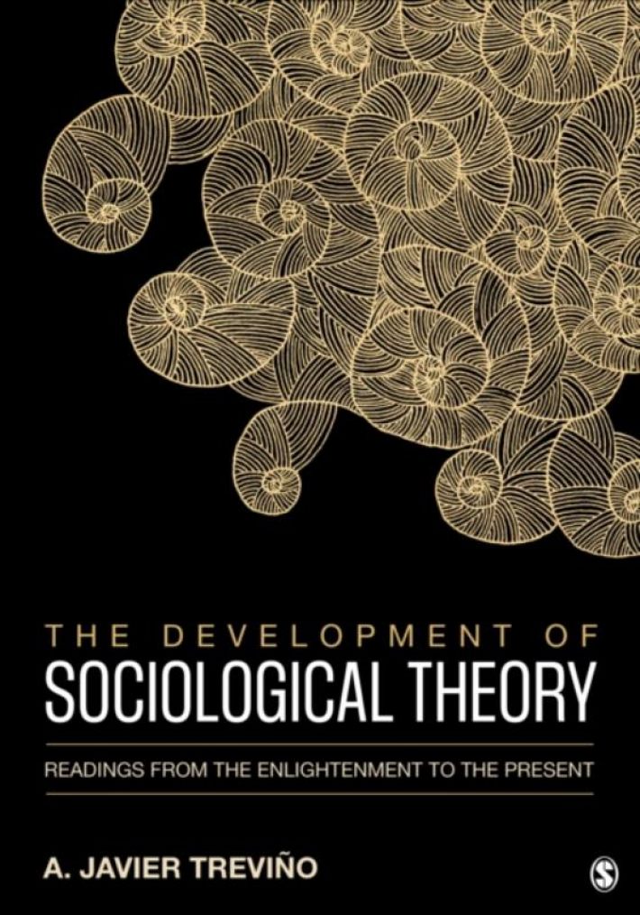 The Development of Sociological Theory