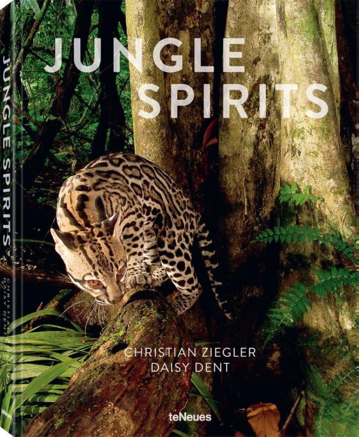 Jungle Spirits (revised edition)