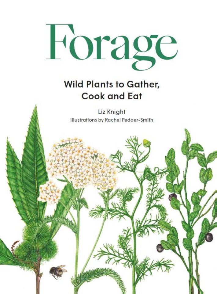 Forage