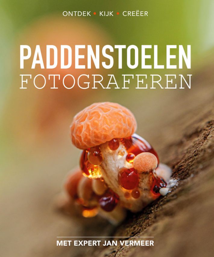 Paddenstoelen fotograferen