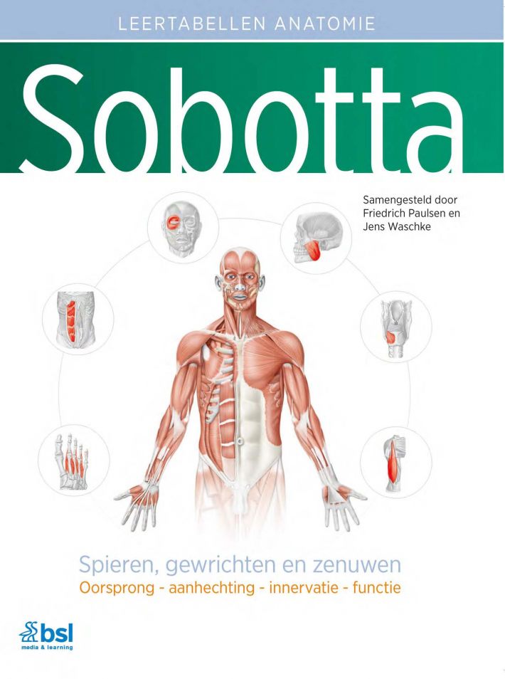 Sobotta Tabellen over spieren, gewrichten en zenuwen