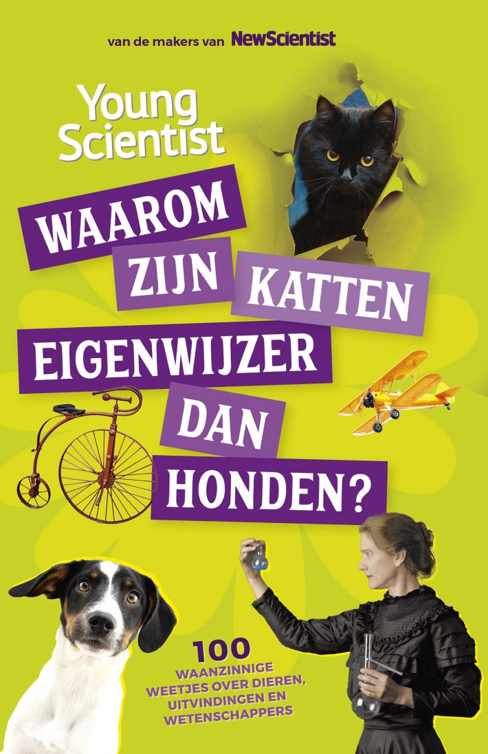 Waarom zijn katten eigenwijzer dan honden?