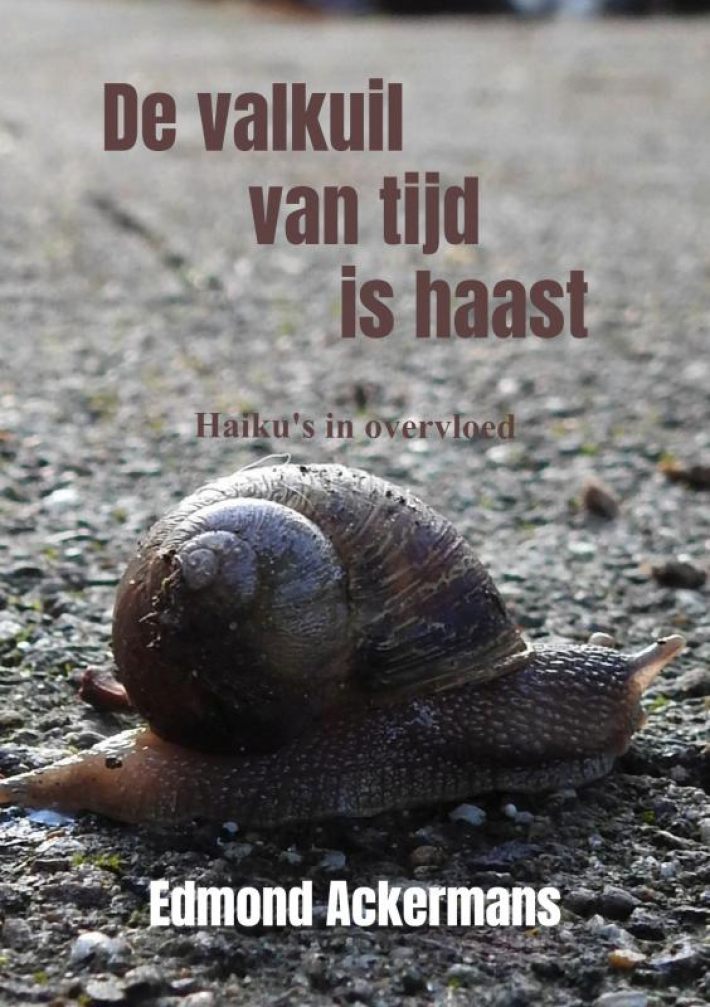 De valkuil van tijd is haast