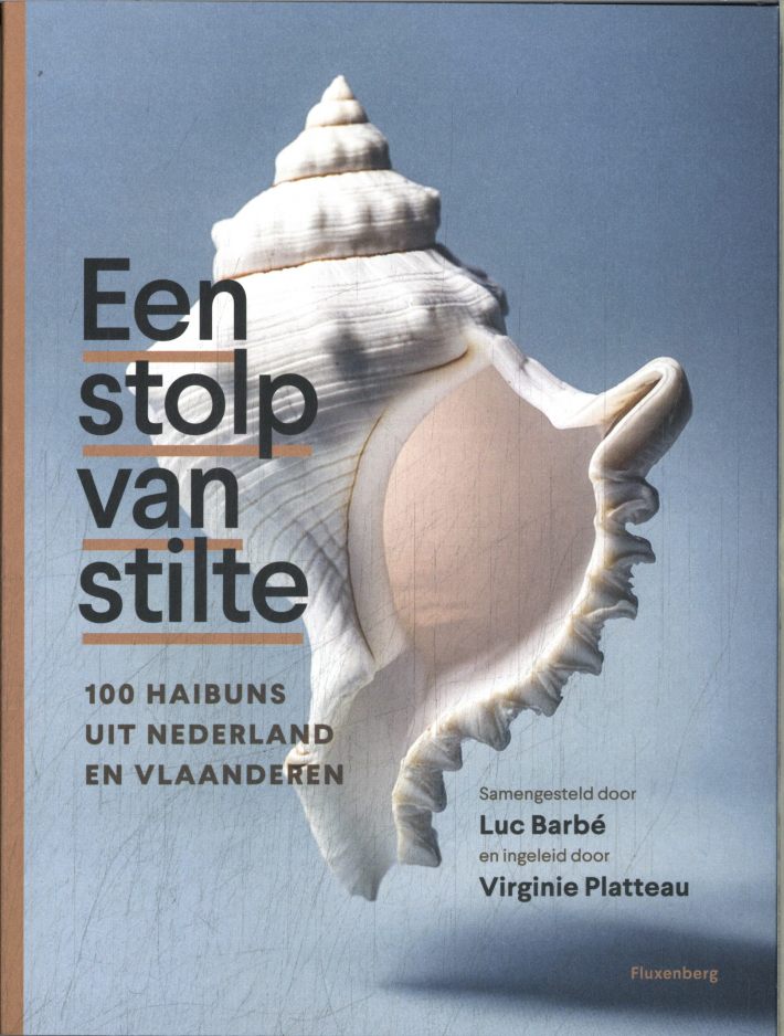 Een stolp van stilte