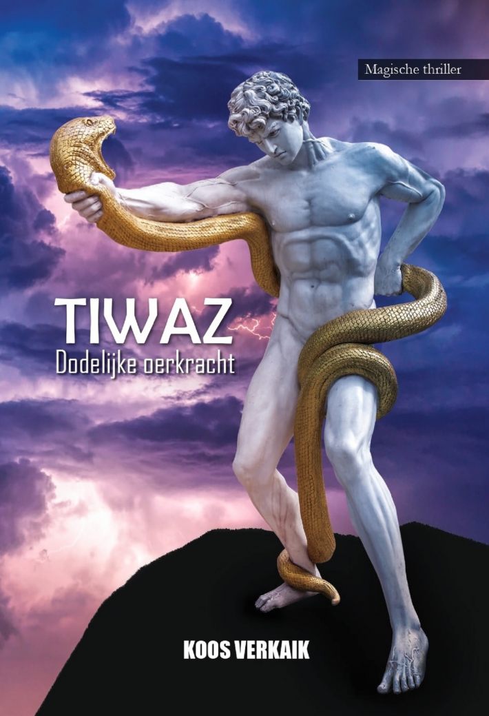 TIWAZ • TIWAZ