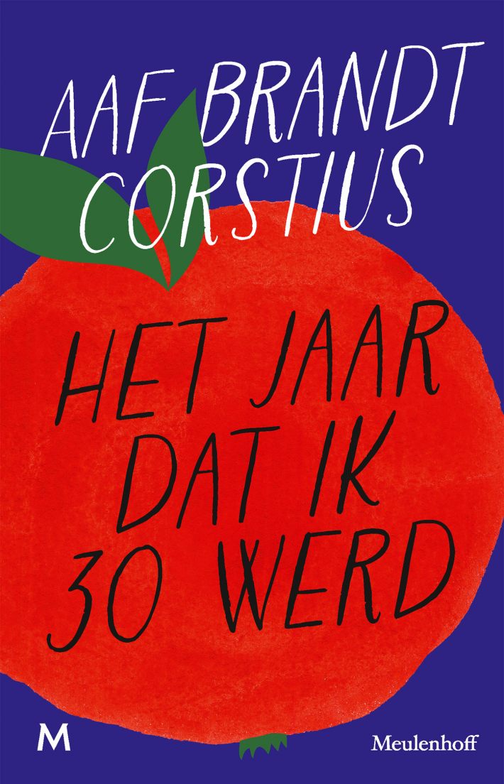 Het jaar dat ik 30 werd • Het jaar dat ik 30 werd