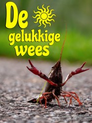 De gelukkige wees • De gelukkige wees