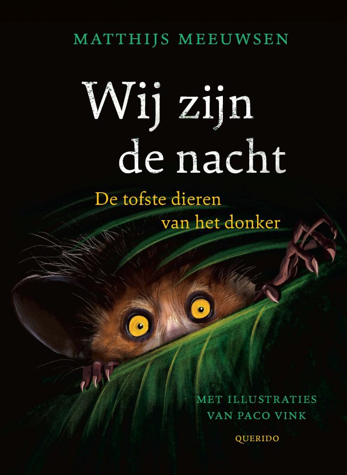 Wij zijn de nacht