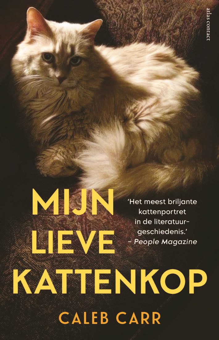 Mijn lieve kattenkop