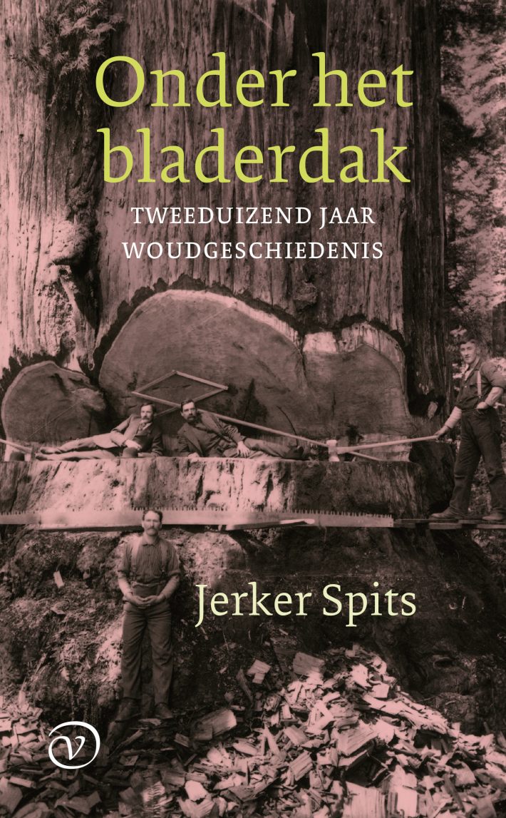 Onder het bladerdak • Onder het bladerdak