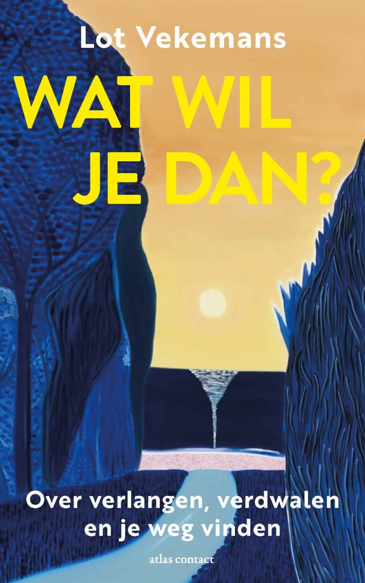 Wat wil je dan?