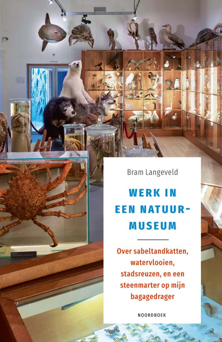 Werk in een natuurmuseum