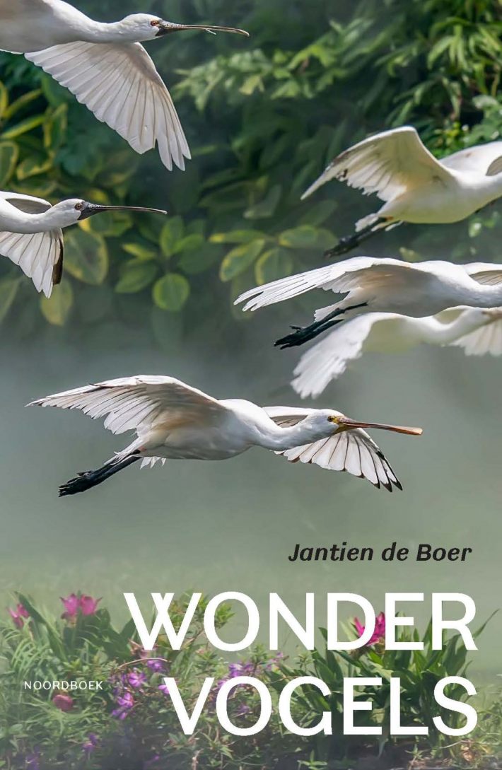 Wondervogels