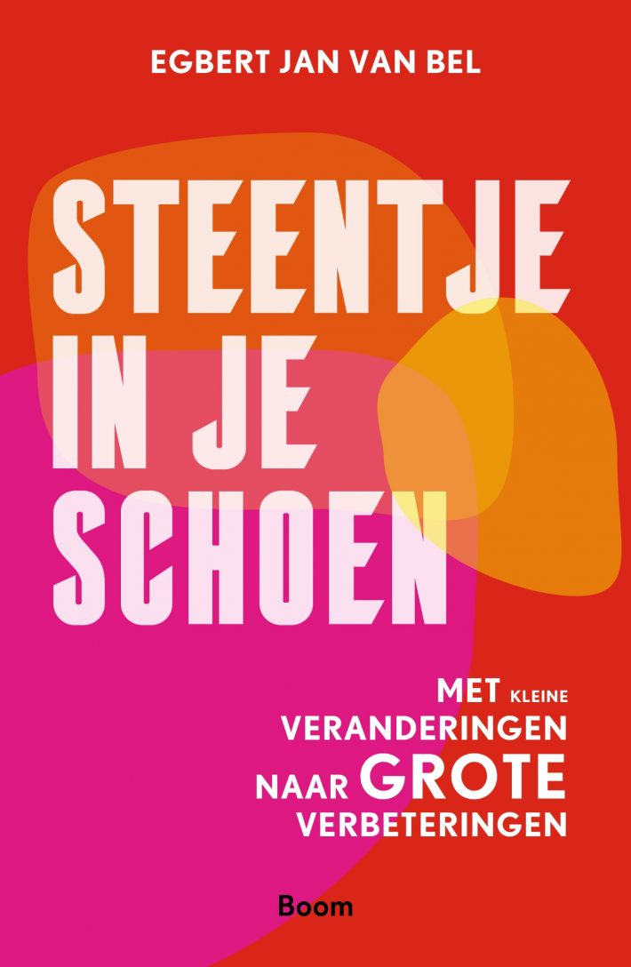 Steentje in je schoen • Steentje in je schoen